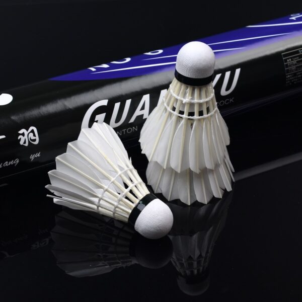 Badminton (No.6)